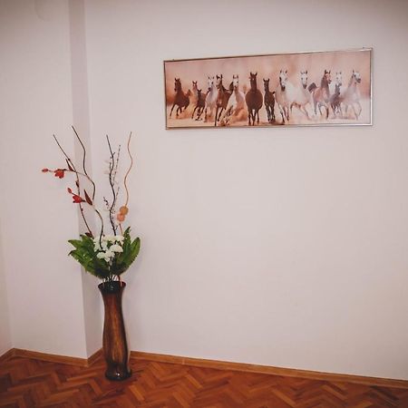 3 Rooms, Loft Apartment, Located Right In Center!!! Razgrad Экстерьер фото
